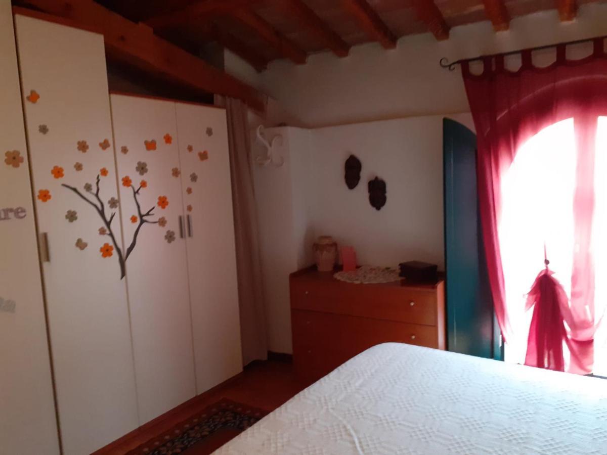 Casa Di Nonno Gio Villa Vecchiano Kültér fotó
