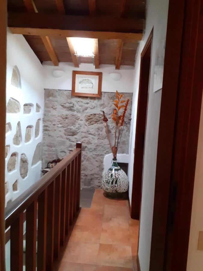 Casa Di Nonno Gio Villa Vecchiano Kültér fotó